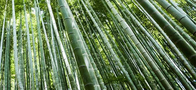文章附图